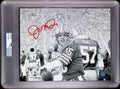 Joe Montana PSA 10 AUTO Autograph 8x10 PHOTO Signed FANATICS & PSA/DNA Slabbed
