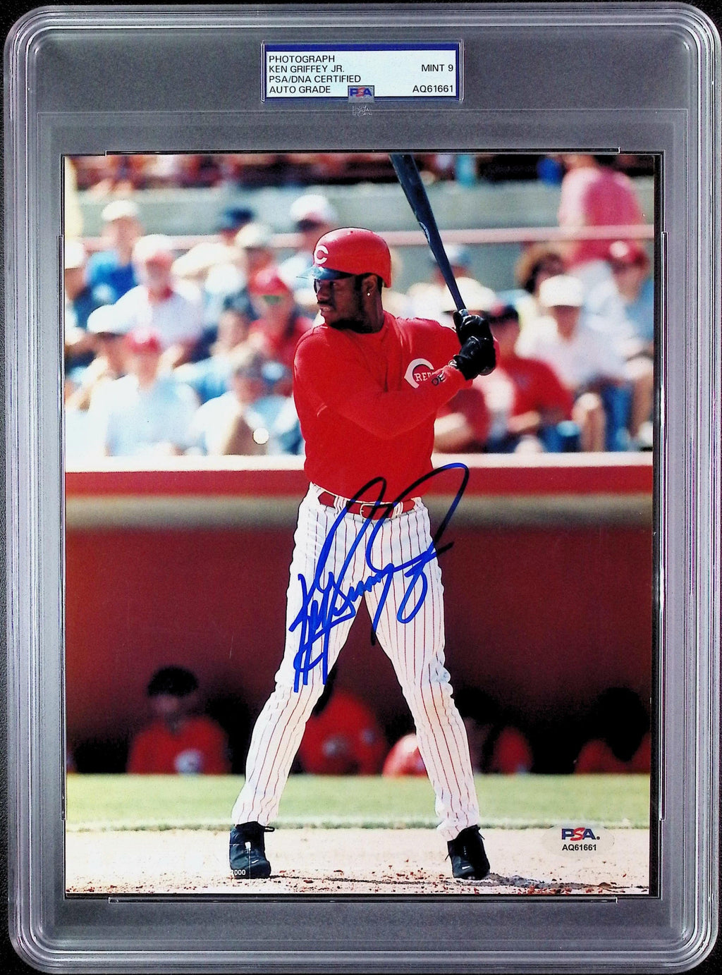Ken Griffey Jr PSA 9 AUTO Autograph 8x10 PHOTO Signed PSA/DNA Slabbed