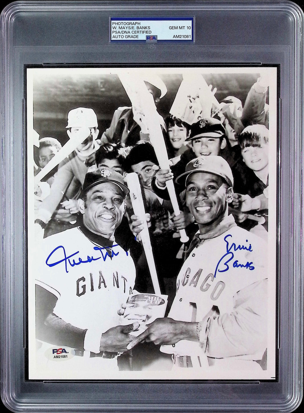 Willie Mays & Ernie Banks PSA 10 AUTO Dual Autograph 8x10 PHOTO Signed PSA/DNA Slabbed