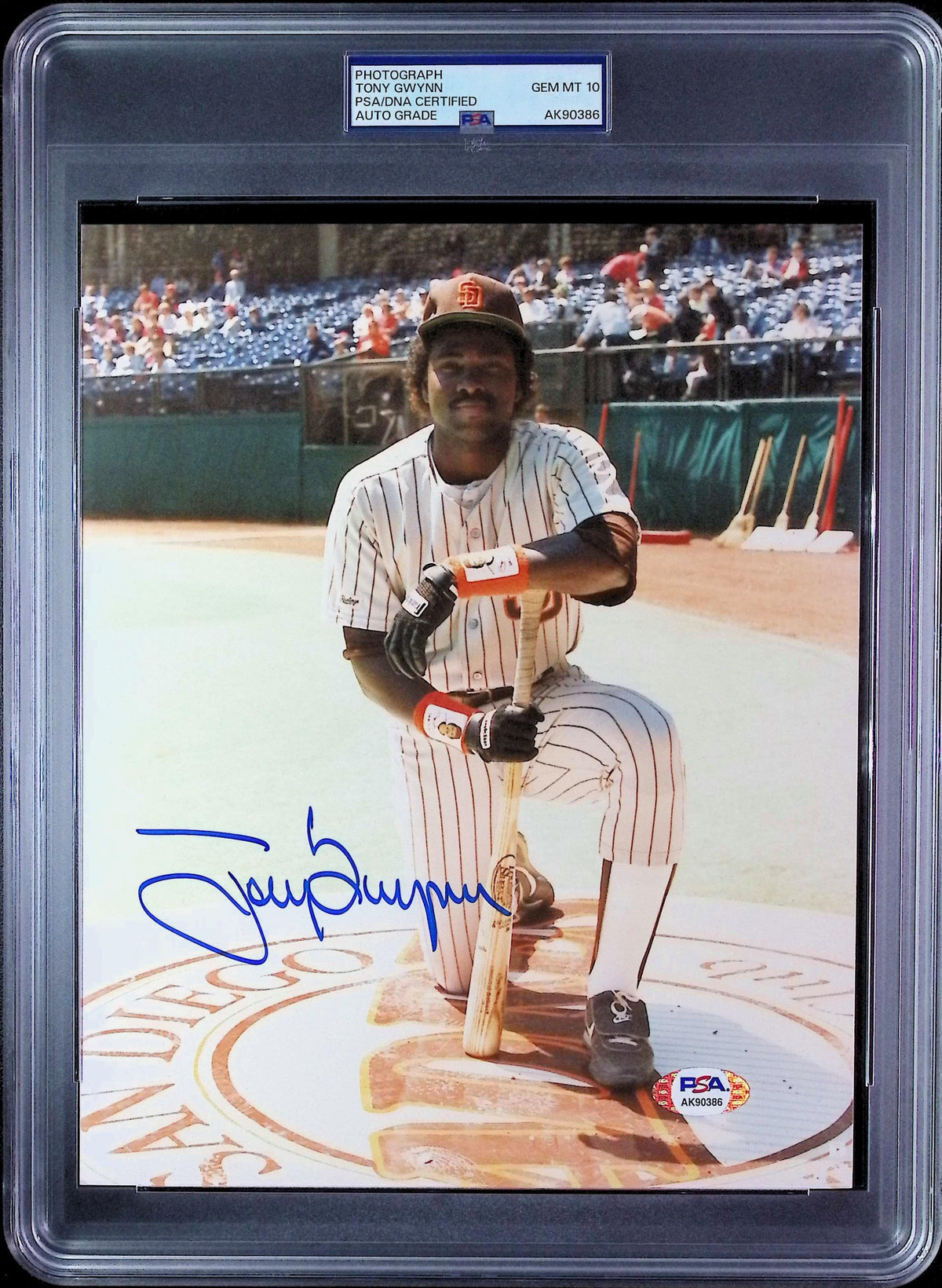 Tony Gwynn PSA 10 AUTO Autograph 8x10 PHOTO Signed PSA/DNA Slabbed