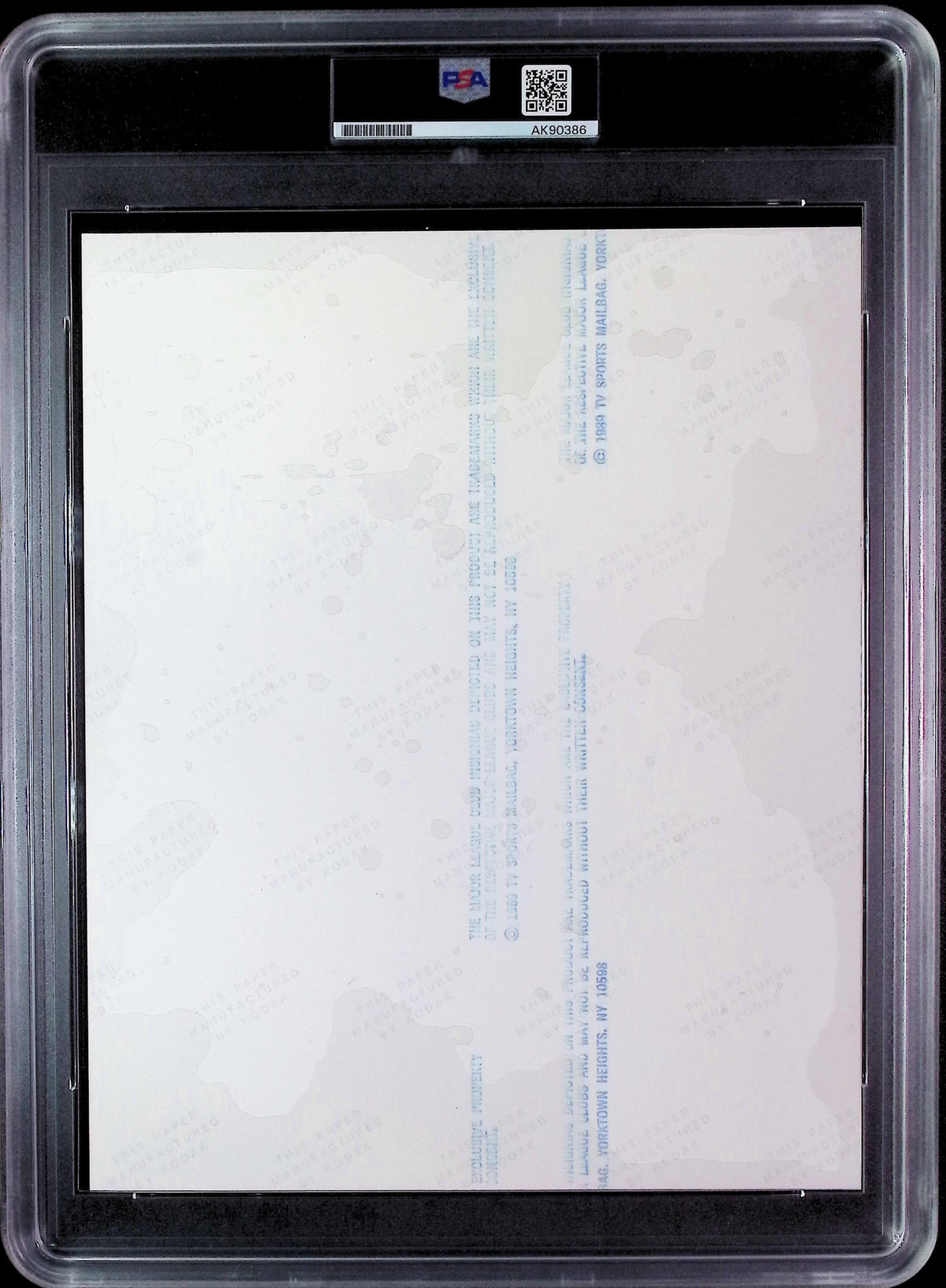 Tony Gwynn PSA 10 AUTO Autograph 8x10 PHOTO Signed PSA/DNA Slabbed