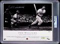 Ted Williams PSA 10 AUTO Autograph 8x10 PHOTO Signed UPPER DECK & PSA/DNA Slabbed