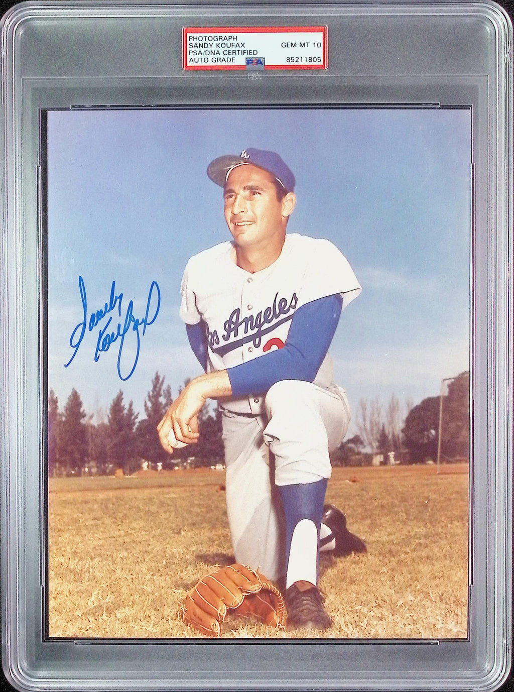 Sandy Koufax PSA 10 AUTO Autograph 8x10 PHOTO Signed PSA/DNA Slabbed