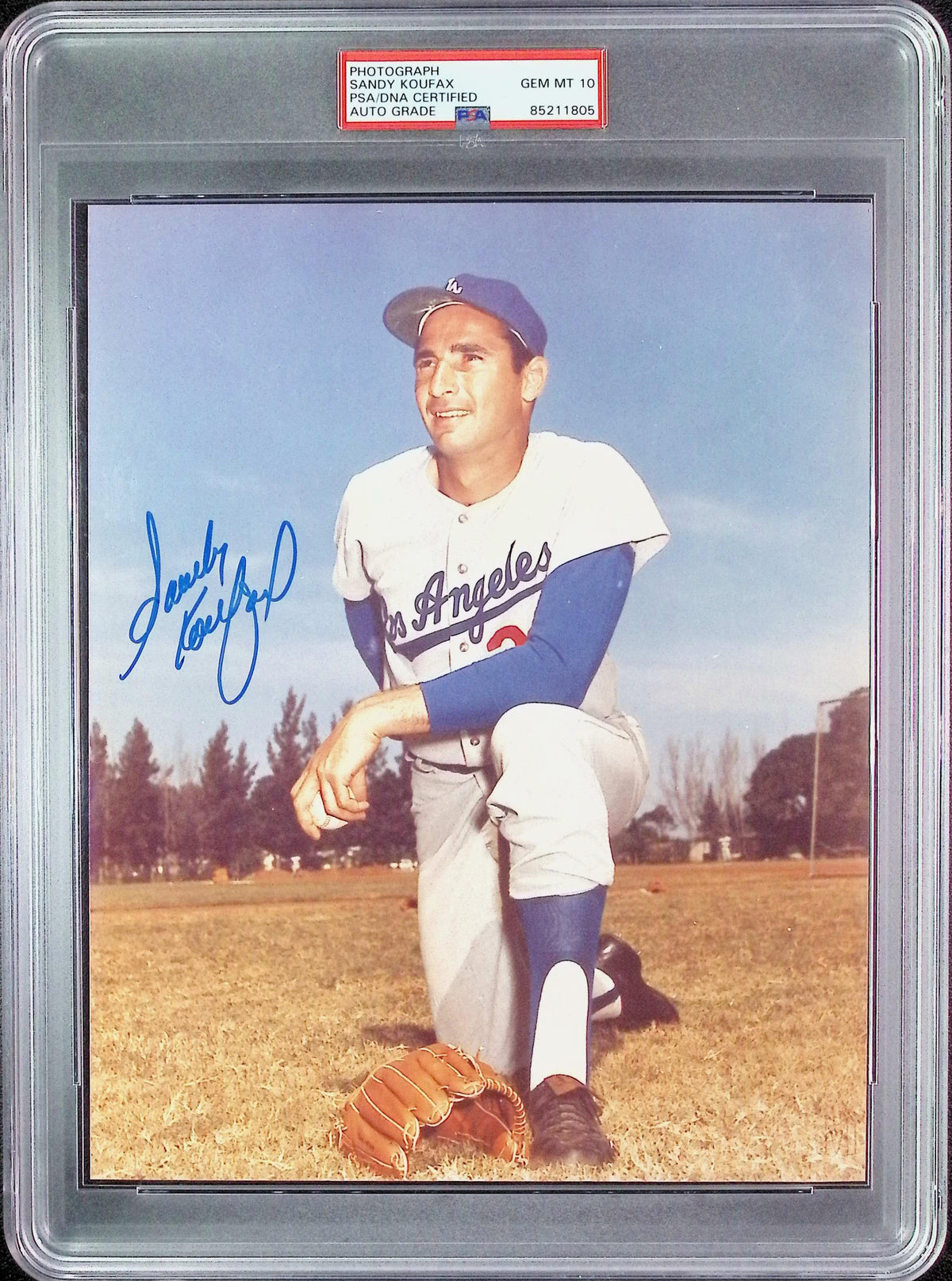 Sandy Koufax PSA 10 AUTO Autograph 8x10 PHOTO Signed PSA/DNA Slabbed